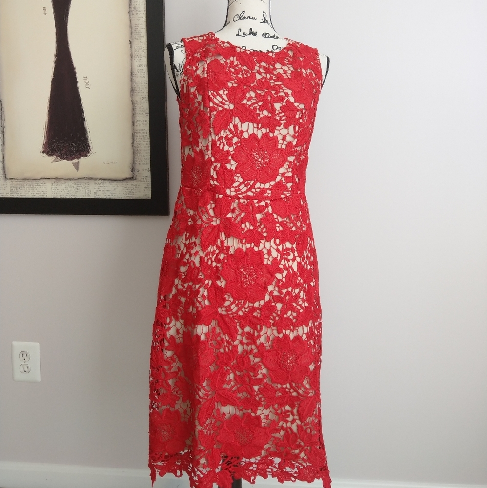 New York & Company Red lace dress, Size 6 - Picture 2 of 8